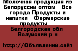 Молочная продукция из Белоруссии оптом - Все города Продукты и напитки » Фермерские продукты   . Белгородская обл.,Валуйский р-н